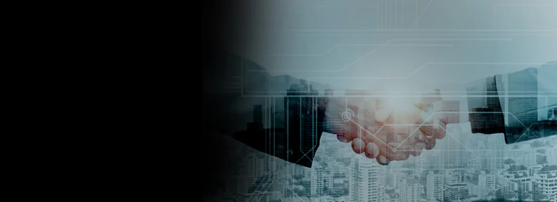 Digital Solutions Development by Pirotan